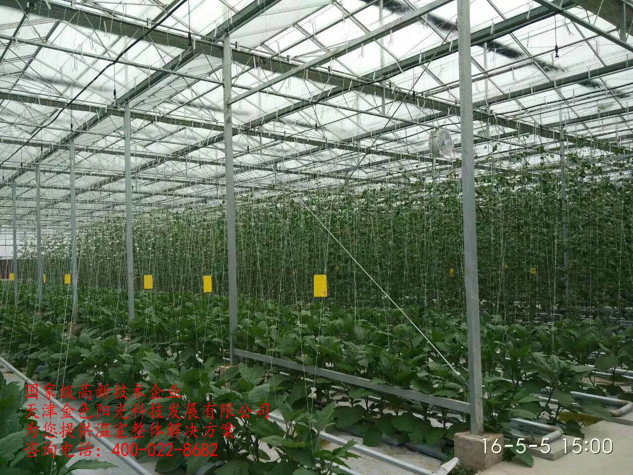 蔬菜种植温室